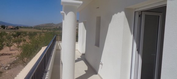 Villa de 3 dormitorios en Pinoso, Spain No. 10195 6