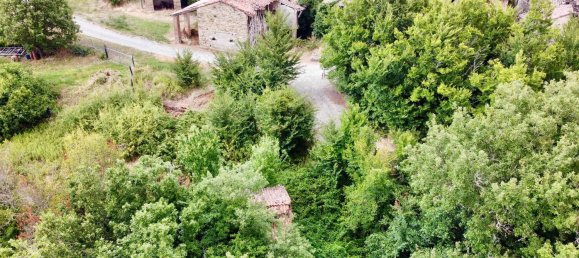 2 rooms House in Ponte dell'Olio, Italy No. 284375 31