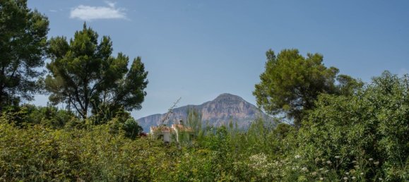 Land in Alicante, Spain No. 134466 12