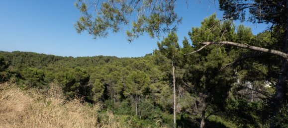 Land in Alicante, Spain No. 134466 11