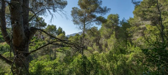 Land in Alicante, Spain No. 134466 2