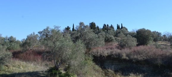  فندق في Corfu, Greece 14700متر مربع رقم 7376 5