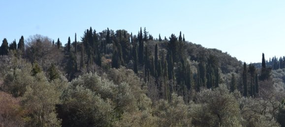  فندق في Corfu, Greece 14700متر مربع رقم 7376 3