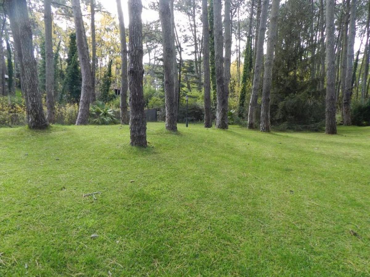  Land in Mar del Plata, Argentina No. 117412