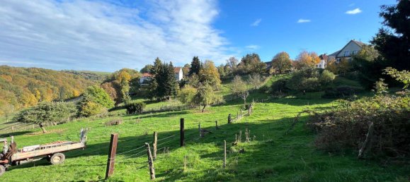 Земельный участок с 1 комнатой в Юго-западный Пфальц, Германия № 271404 3