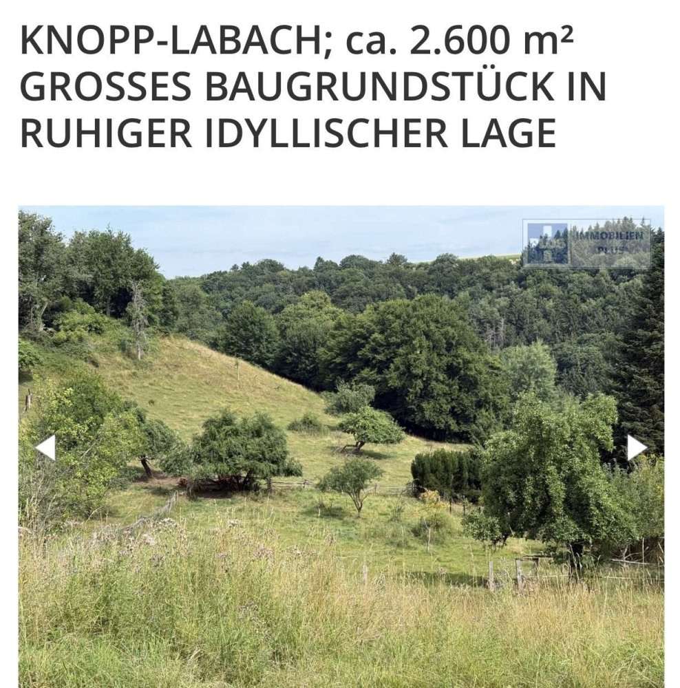 Земельный участок с 1 комнатой в Юго-западный Пфальц, Германия № 271404