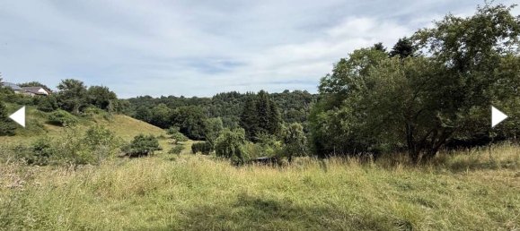 Земельный участок с 1 комнатой в Юго-западный Пфальц, Германия № 271404 2