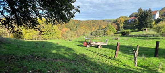 Земельный участок с 1 комнатой в Юго-западный Пфальц, Германия № 271404 5