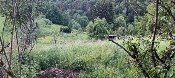 Земельный участок с 1 комнатой в Юго-западный Пфальц, Германия № 271404 6