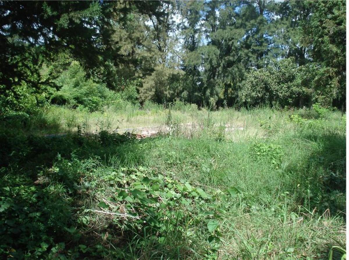  Land in Campo Creado, Argentina No. 35051