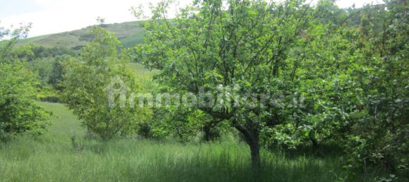 3 غرف نوم منزل في Agnone, Italy رقم 348360 26