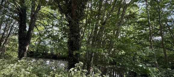 3 bedrooms House in Confolens, France No. 335437 15