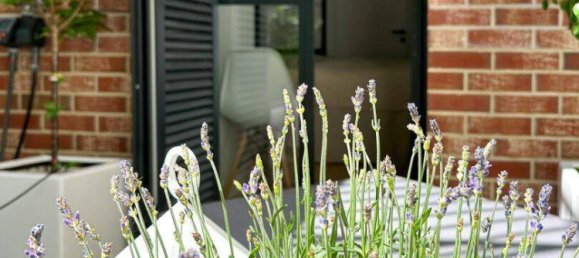 2 rooms Townhouse in Josefstadt, Austria No. 244474 3