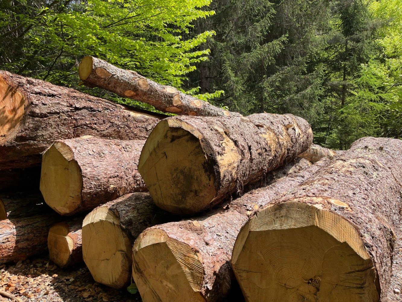 Terreno em Prignitz, Germany N.º 342285