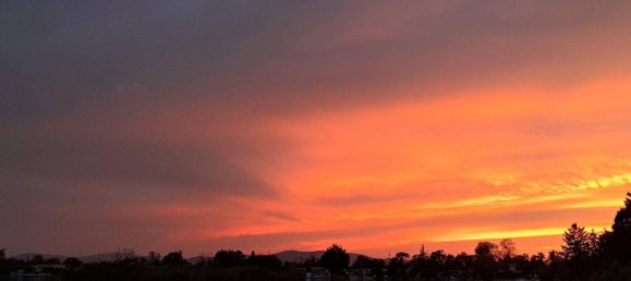 Дом с 4 комнатами в Мюнхендорф, Австрия № 235536 26