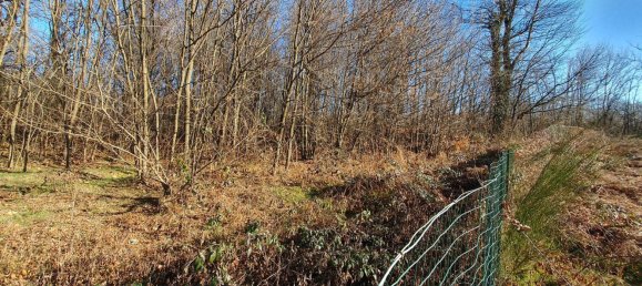 Grundstück in Malnate, Italy 1420m², Nr. 312033 13