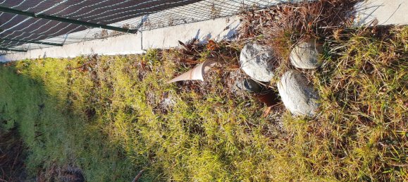 Grundstück in Malnate, Italy 1420m², Nr. 312033 22