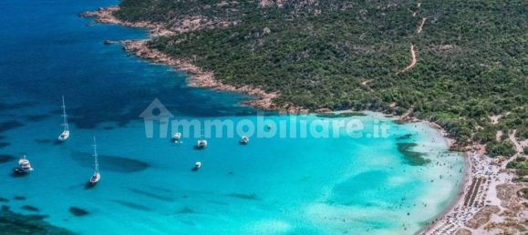 10 غرف نوم فيلا في Arzachena, Italy رقم 261082 43