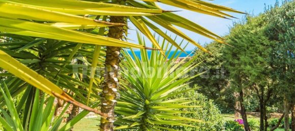 10 غرف نوم فيلا في Arzachena, Italy رقم 261082 41