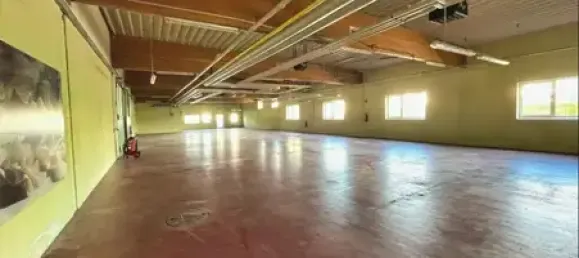 3340m² Commercial property in Waldshut, Germany No. 17877 10