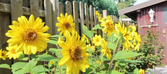 3 rooms House in Altona, Germany No. 300966 11