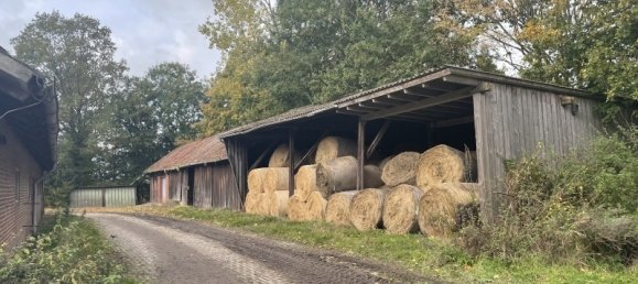  Castillos de 6 habitaciónes en Wesermarsch, Germany No. 136128 10