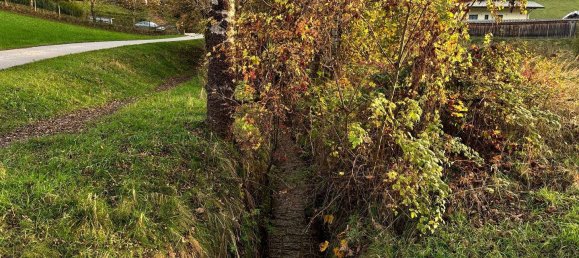 قطعة أرض في Ossiach, Austria رقم 35913 15