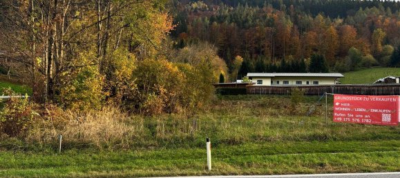 قطعة أرض في Ossiach, Austria رقم 35913 13