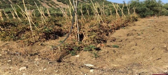 5400m² Land in Santa Flavia, Italy No. 163690 2