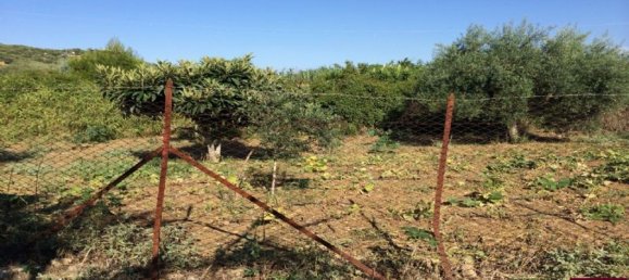 5400m² Land in Santa Flavia, Italy No. 163690 3