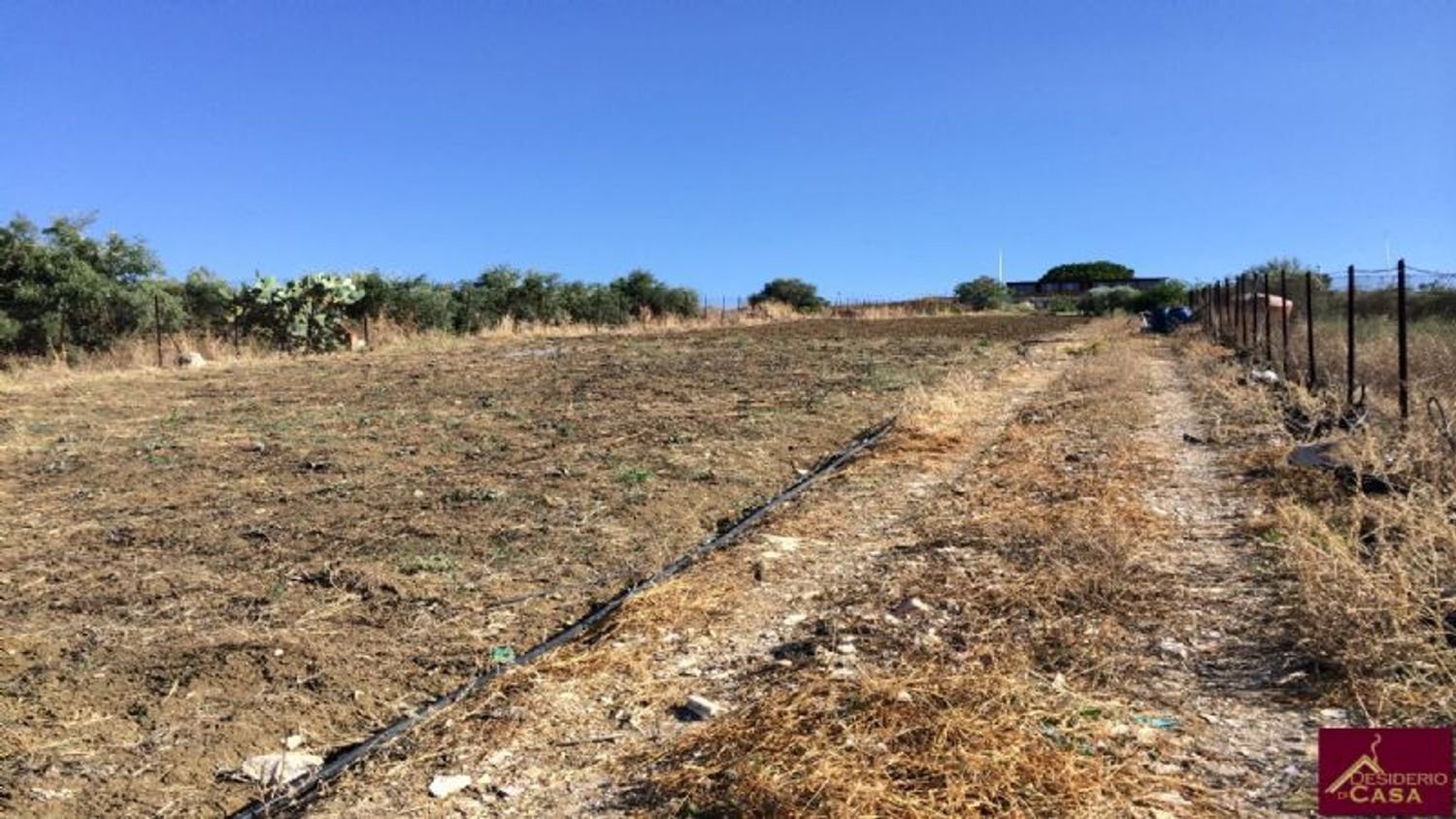 5400m² Land in Santa Flavia, Italy No. 163690
