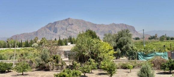 3 bedrooms Finca in Orihuela, Spain No. 13728 26