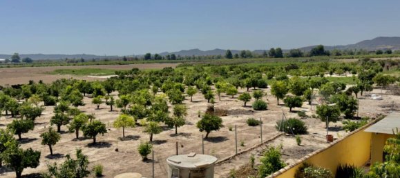 3 bedrooms Finca in Orihuela, Spain No. 13728 27