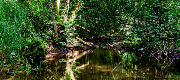 Hotel in Main-Spessart, Germany, Nr. 167552 40