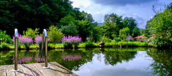 Hotel in Main-Spessart, Germany, Nr. 167552 15