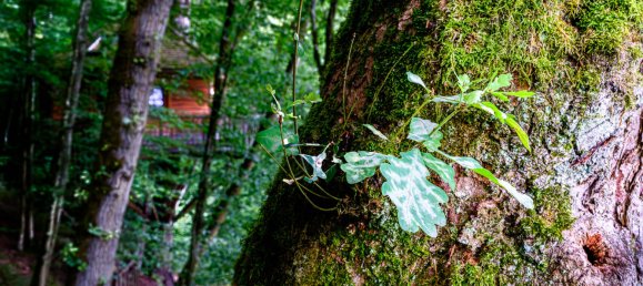 Hotel in Main-Spessart, Germany, Nr. 167552 37