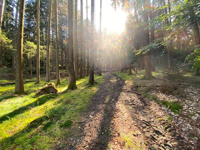 Terreno en Regensburg, Germany No. 190029