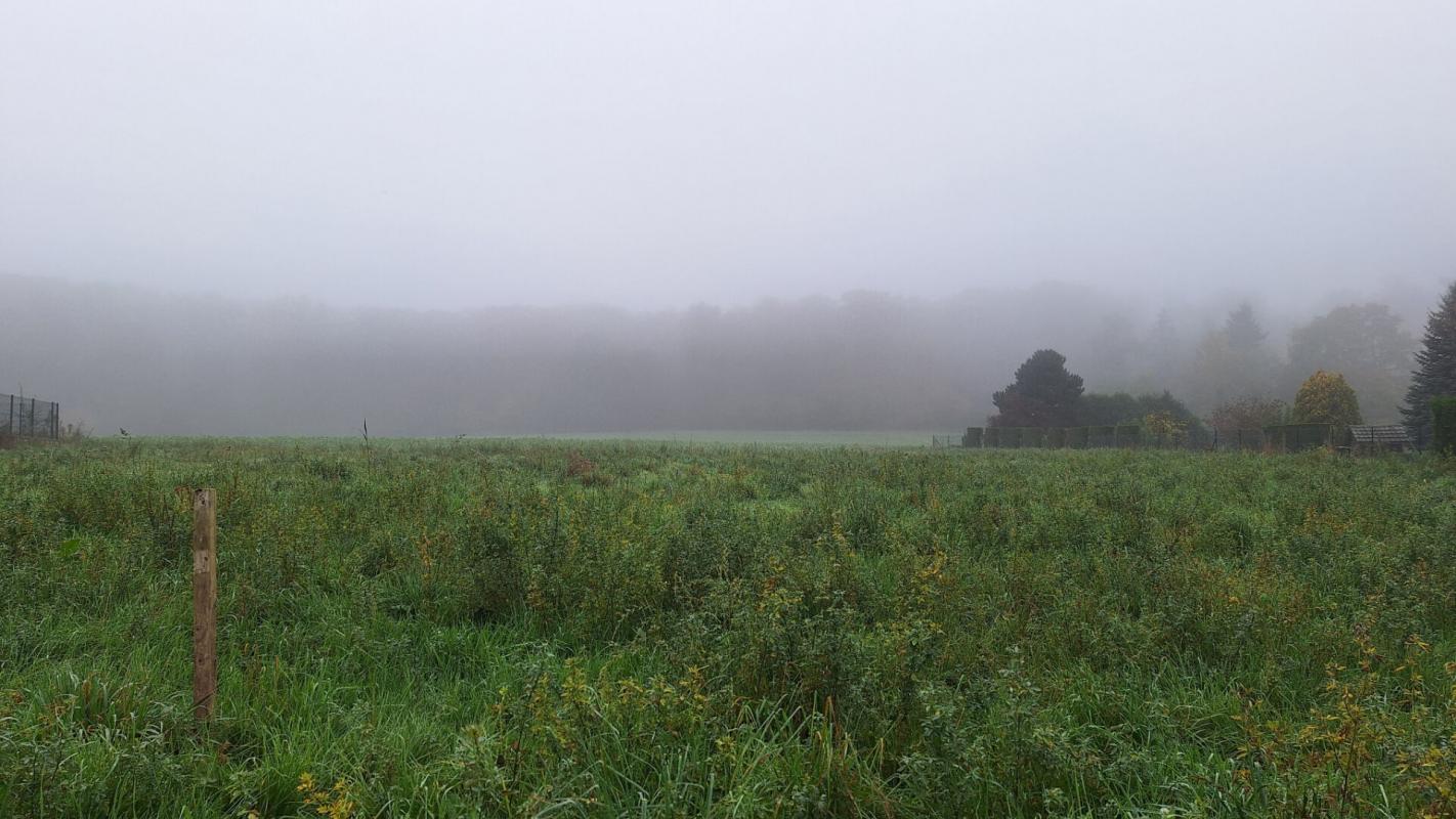  Land in Villers-Cotterets, France No. 159967