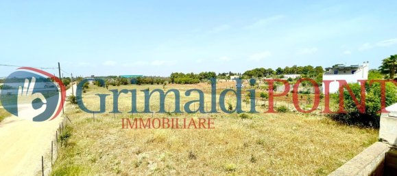 5غرفة منزل في Porto Cesareo, Italy رقم 57401 39