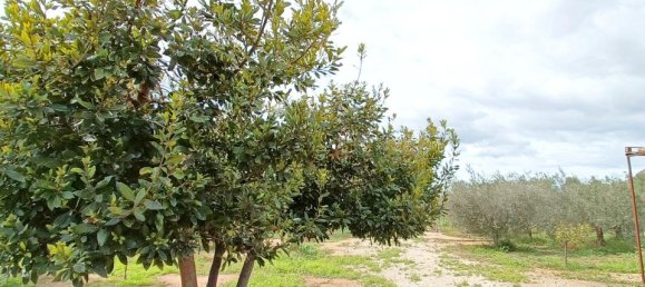 3 Schlafzimmer Villa in Hondon De Las Nieves, Spain, Nr. 170271 29