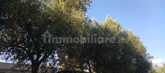 1 bedroom House in Nettuno, Italy No. 336631 5