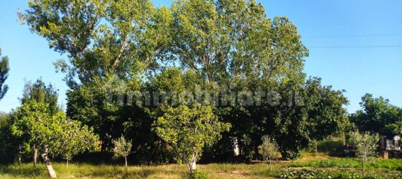 1 bedroom House in Nettuno, Italy No. 336631 4