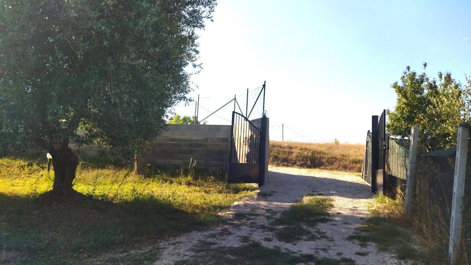 1 bedroom House in Nettuno, Italy No. 336631