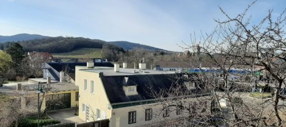 3غرفة تاون هاوس في Perchtoldsdorf, Austria رقم 158348 4