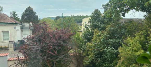 3غرفة تاون هاوس في Perchtoldsdorf, Austria رقم 158348 9