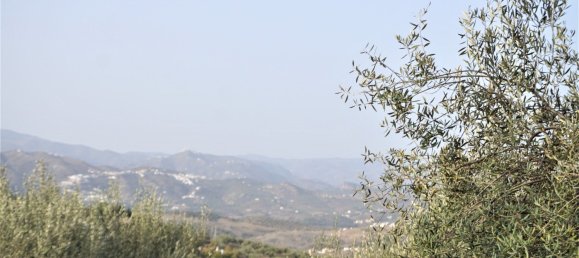 3 bedrooms House in Alcaucin, Spain No. 45174 12