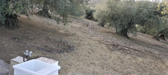 3 bedrooms House in Alcaucin, Spain No. 45174 9