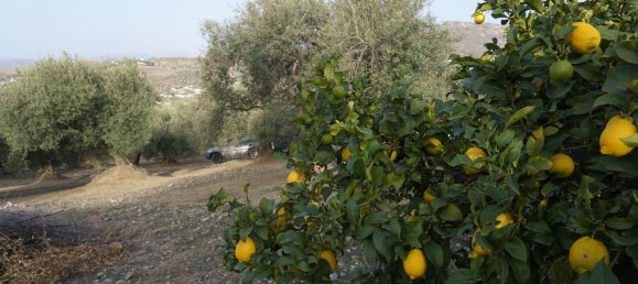 3 bedrooms House in Alcaucin, Spain No. 45174 7