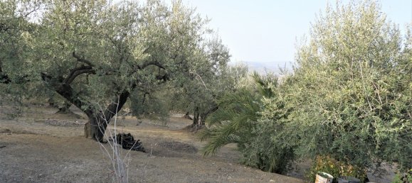 3 bedrooms House in Alcaucin, Spain No. 45174 38