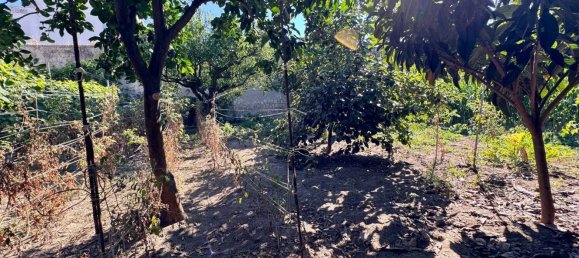 11 bedrooms Villa in Naples, Italy No. 313990 26